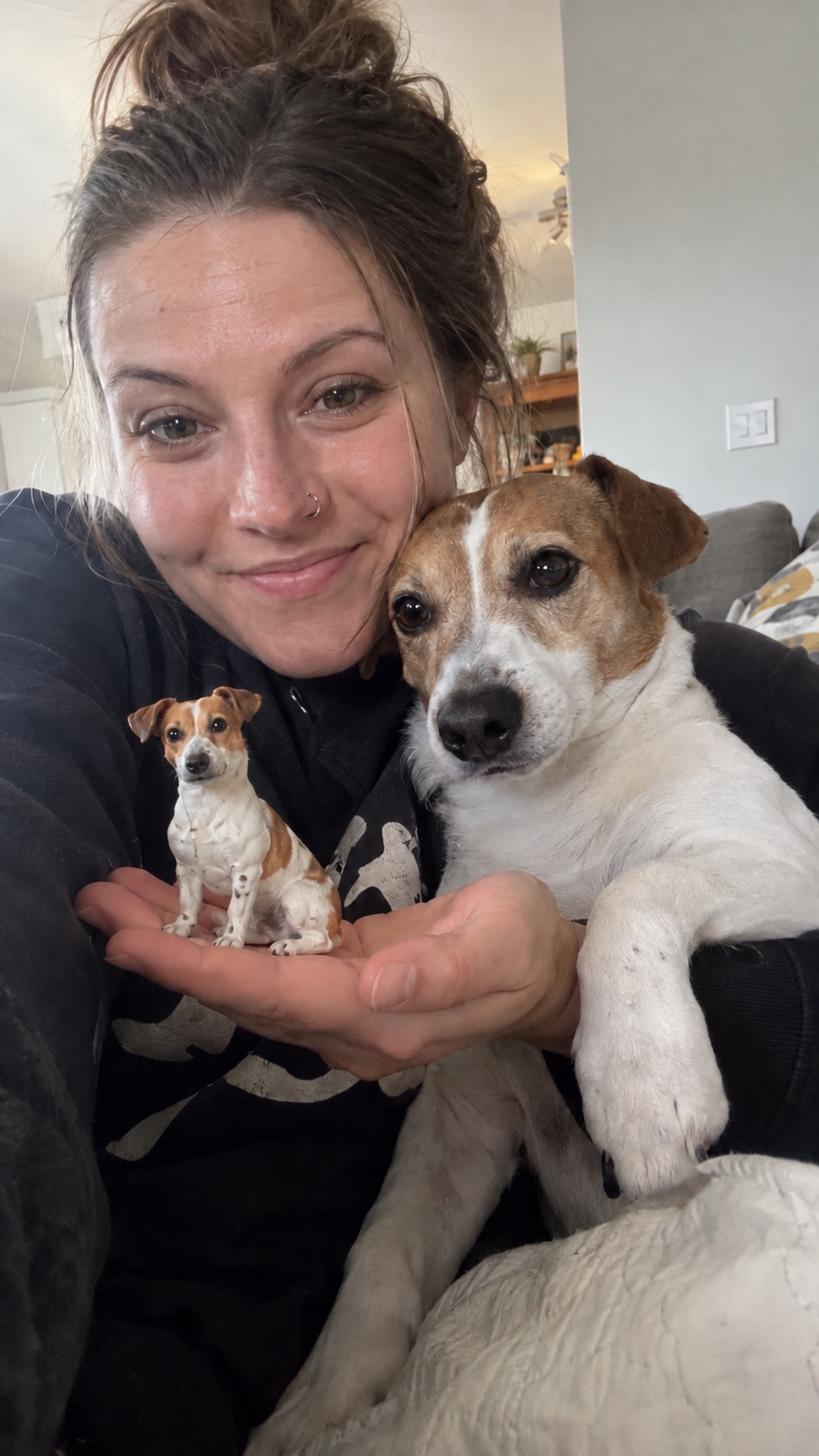 Jasper, Jack Russell Terrier