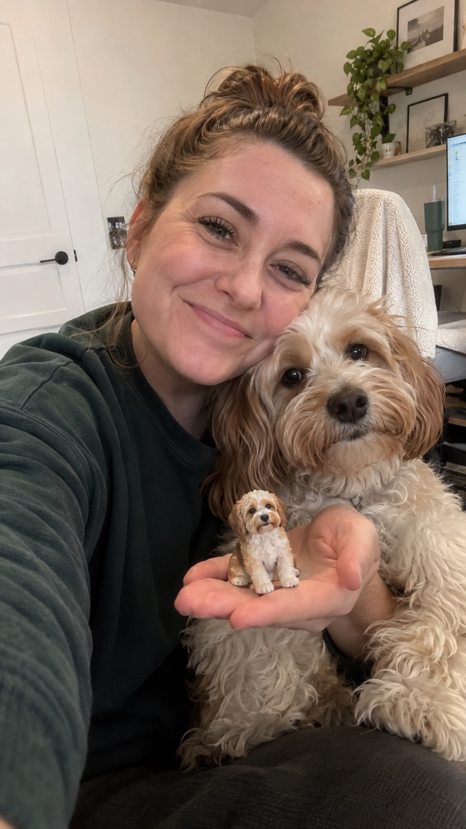 Milo, Cavapoo