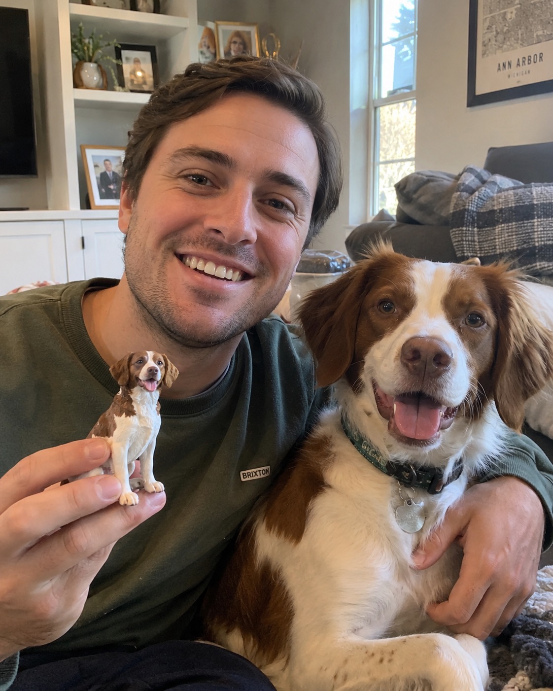 Maple, Brittany Spaniel